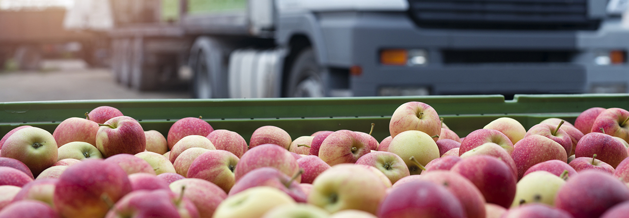Apples with truck in the background