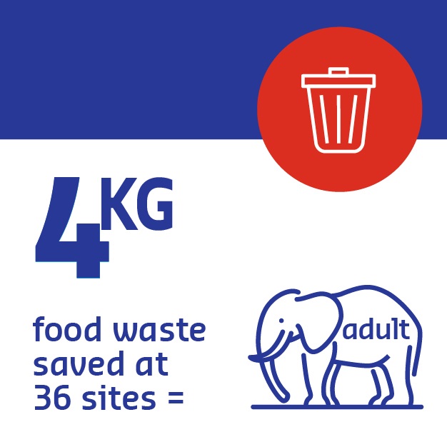 4kg food waste - elephant comparison