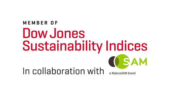 Dow Jones Sustainability Index logo