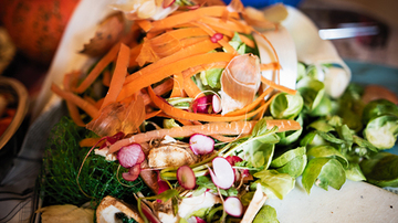 Boutures de légumes