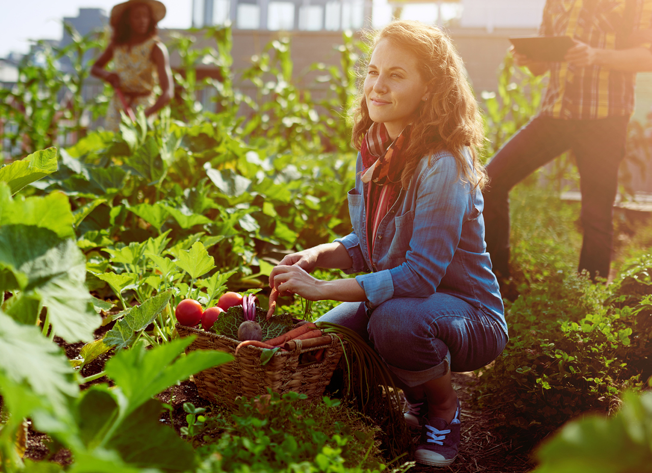 Woman picking produce