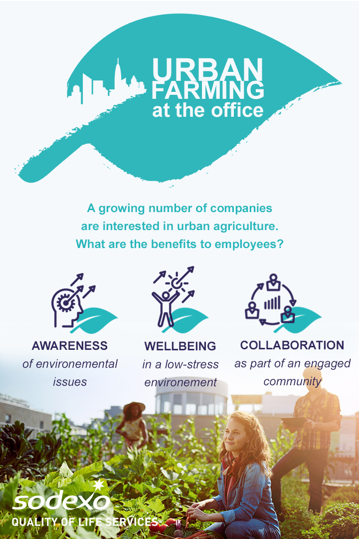 Urban farming at the office