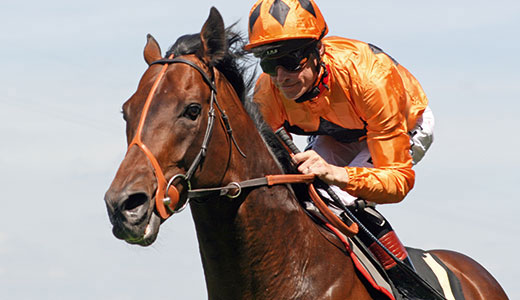 ascot.jpg