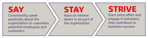 Engagement Behaviours