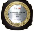2012年度中国最佳跨国外包企业
