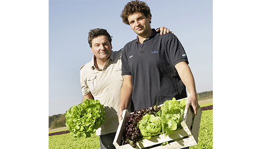 Farmer finds a growing market for fresh lettuce