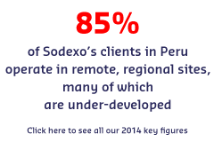 KPI - Local development in Peru