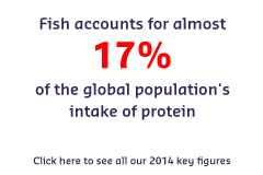 KPI - Seafood Proteins