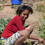 Sustainable Development