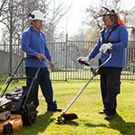 Landscaping and groundskeeping