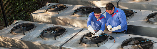 fans maintenance