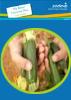 Super potagers  (PDF, 260 Ko)