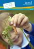 Jardins potagers pour les écoles – Royaume-Uni (PDF, 323 Ko)