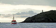 Responsible sourcing for sustainable fish and seafood