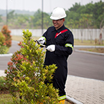 Green solutions
