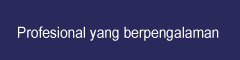 Experienced professional