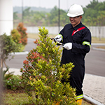 Green solutions