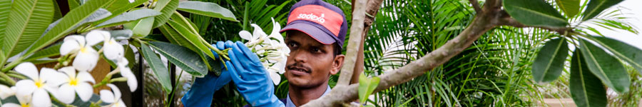 corporate-landscaping-services