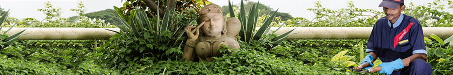 healthcare-landscaping