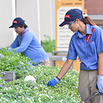 Landscaping and Groundskeeping