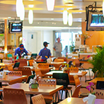 Safe and Comforting Environment