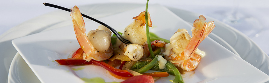Food_banner3.jpg