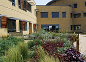 Sodexo helps NHS Trust boost sustainability