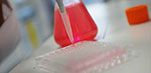 scientific-services-labs