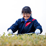 Landscaping and groundskeeping