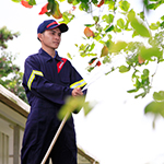 Landscaping and groundskeeping
