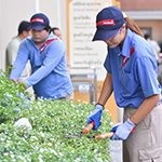 Landscaping and groundskeeping